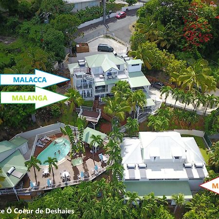 Studio Malacca, Malanga Et Majacudja - O Coeur De Deshaies Buitenkant foto